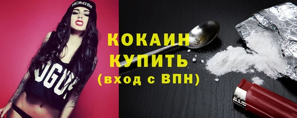 не бодяженный Ладушкин